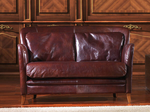 OR-235-2S Contemporary Leather Love Seat