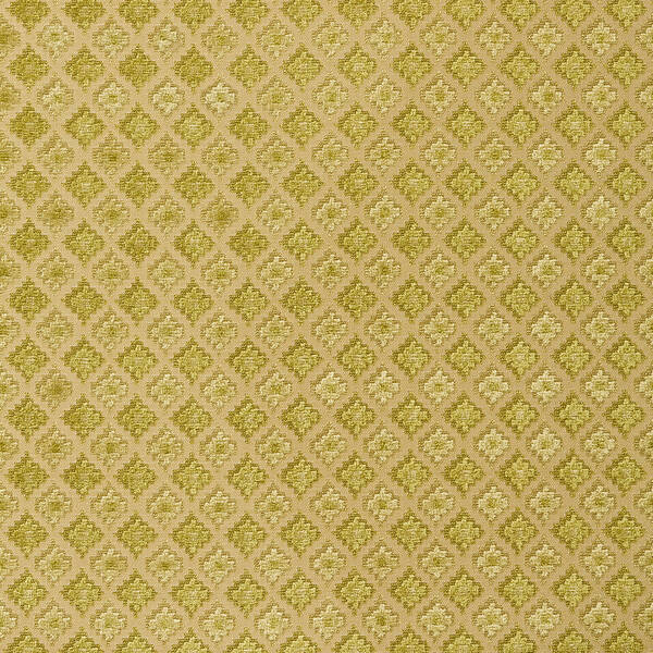 Fabric FA00404 - POMONA Series