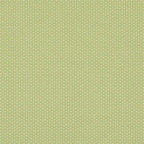 Fabric FA01672 - GENEVA Series