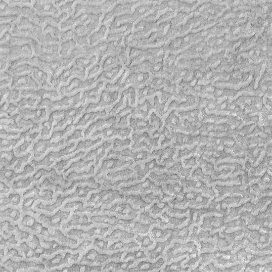 Fabric FA02099 - NERITES Series