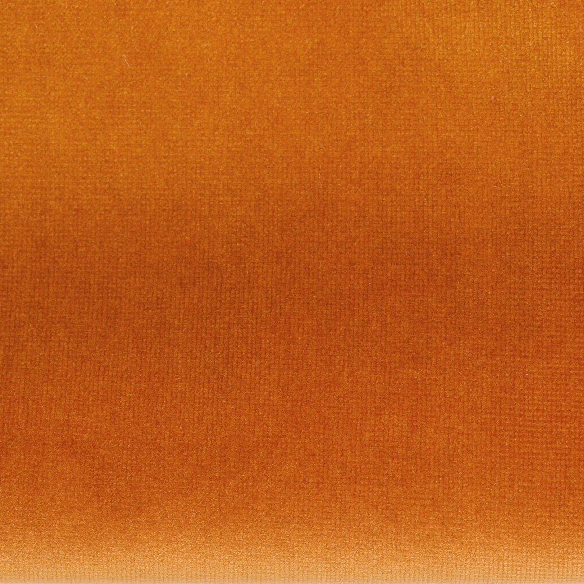 Fabric FA00282 - JANUS Series