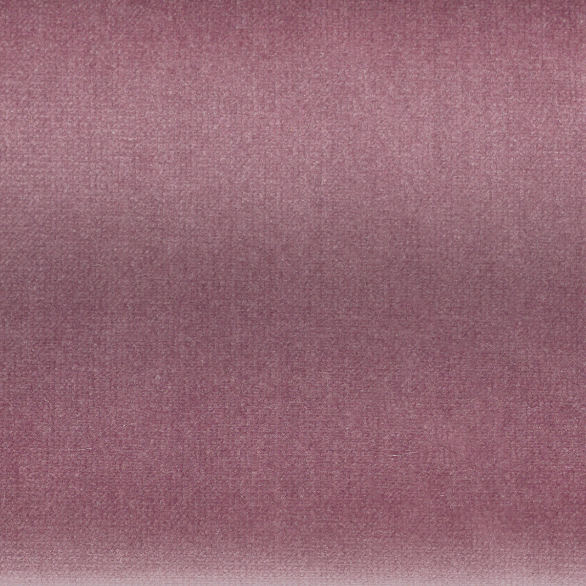 Fabric FA00289 - JANUS Series
