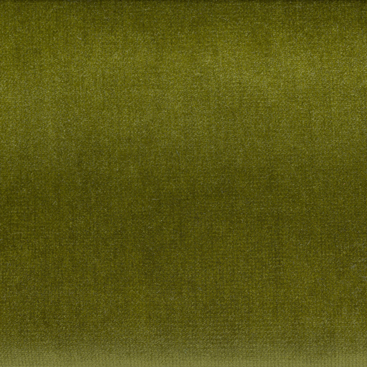 Fabric FA00295 - JANUS Series