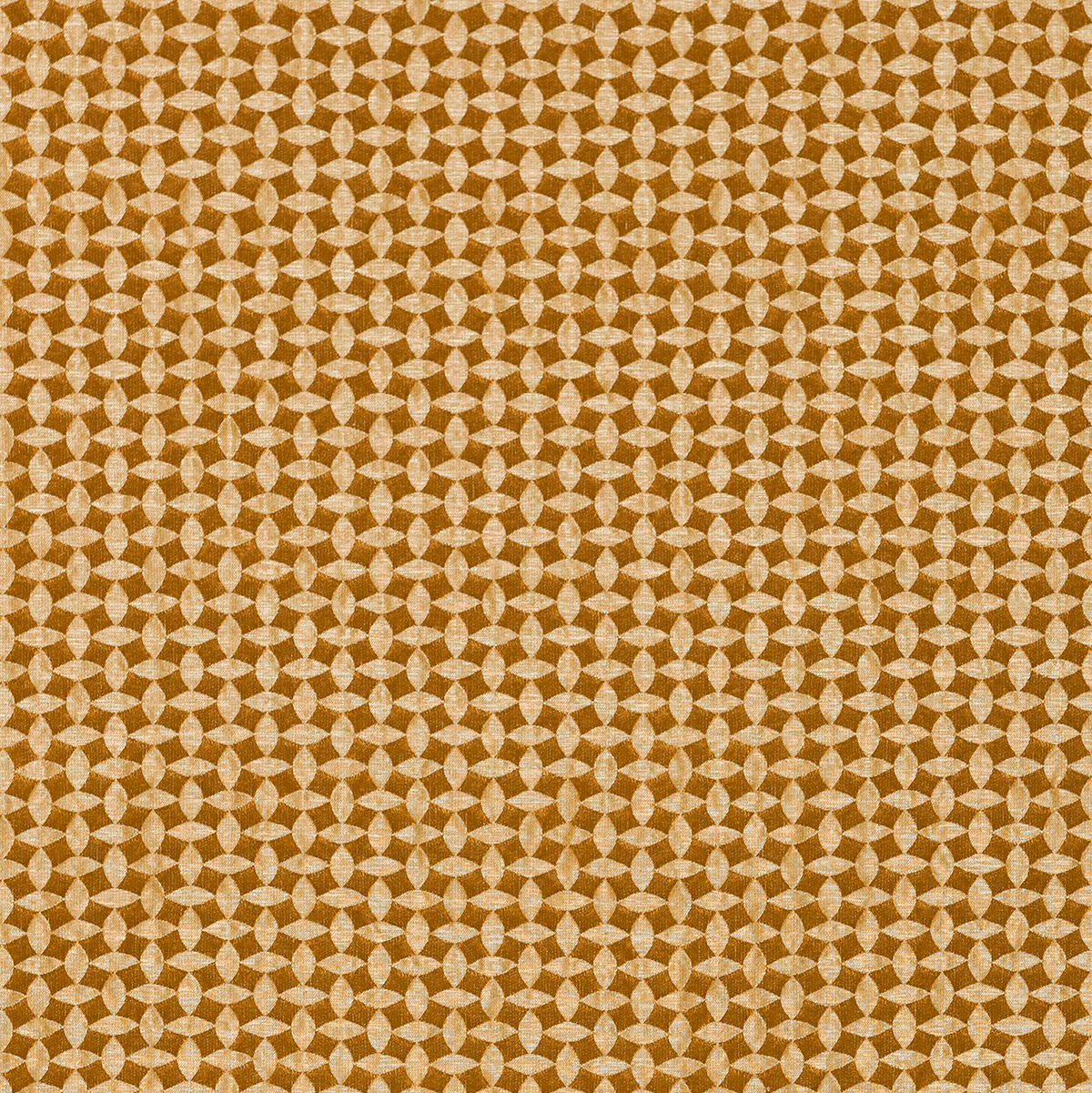 Fabric FA01157 - DEMETER Series