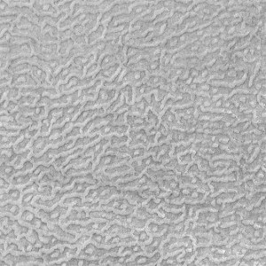 Fabric FA02099 - NERITES Series