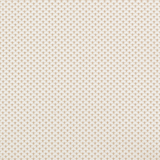 Fabric FA02413 - ANYTOS Series