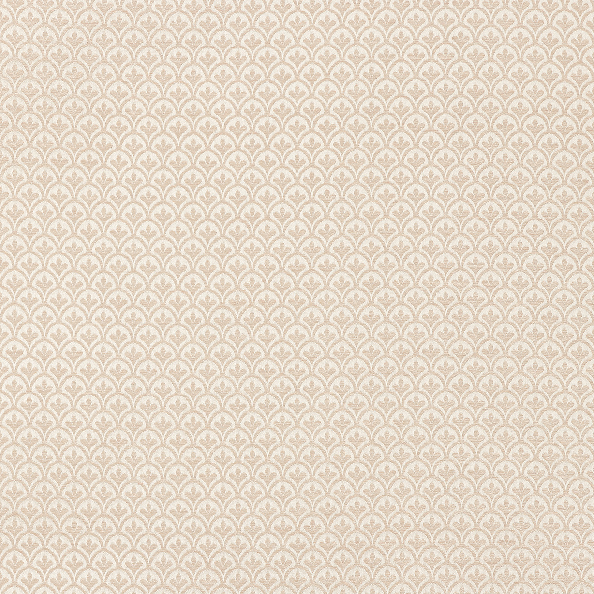 Fabric FA03244 - XANDER Series