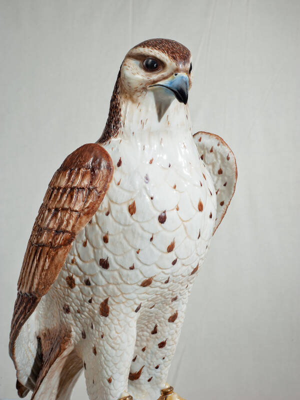 PV-0003923-202 Limited Edition Saker Falcon